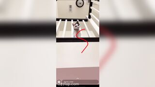 Shion Leaked Asian Amateur Chinese Porn Video 60