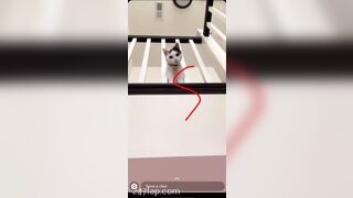 Shion Leaked Asian Amateur Chinese Porn Video 60