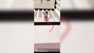 Shion Leaked Asian Amateur Chinese Porn Video 60