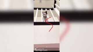 Shion Leaked Asian Amateur Chinese Porn Video 60