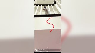 Shion Leaked Asian Amateur Chinese Porn Video 60