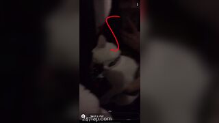 Shion Leaked Asian Amateur Chinese Porn Video 61