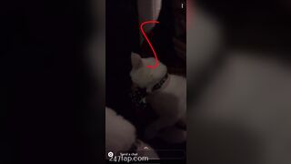 Shion Leaked Asian Amateur Chinese Porn Video 61