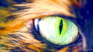 Lonelymeow (Lonely Meow) OnlyFans Leaks Mia Mia_oo Asian Chinese from Italy 109