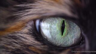 Lonelymeow (Lonely Meow) OnlyFans Leaks Mia Mia_oo Asian Chinese from Italy 17