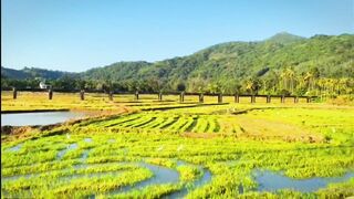 Lonelymeow (Lonely Meow) OnlyFans Leaks Mia Mia_oo Asian Chinese from Italy 201