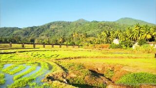 Lonelymeow (Lonely Meow) OnlyFans Leaks Mia Mia_oo Asian Chinese from Italy 201