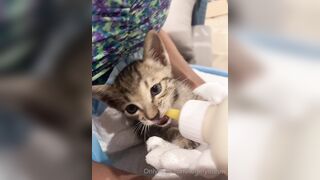 Lonelymeow (Lonely Meow) OnlyFans Leaks Mia Mia_oo Asian Chinese from Italy 110