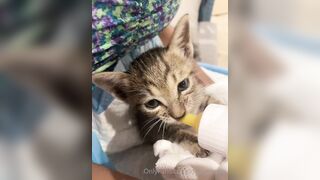 Lonelymeow (Lonely Meow) OnlyFans Leaks Mia Mia_oo Asian Chinese from Italy 110