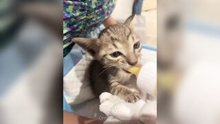 Lonelymeow (Lonely Meow) OnlyFans Leaks Mia Mia_oo Asian Chinese from Italy 110