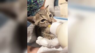 Lonelymeow (Lonely Meow) OnlyFans Leaks Mia Mia_oo Asian Chinese from Italy 110