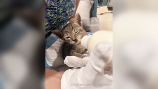 Lonelymeow (Lonely Meow) OnlyFans Leaks Mia Mia_oo Asian Chinese from Italy 110