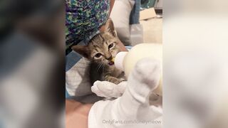 Lonelymeow (Lonely Meow) OnlyFans Leaks Mia Mia_oo Asian Chinese from Italy 110