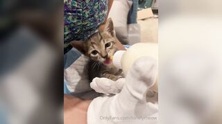 Lonelymeow (Lonely Meow) OnlyFans Leaks Mia Mia_oo Asian Chinese from Italy 110