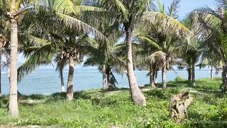 Lonelymeow (Lonely Meow) OnlyFans Leaks Mia Mia_oo Asian Chinese from Italy 114