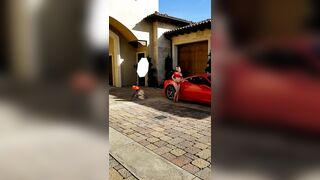 BarbieDDoll (AsianBarbieDDoll) OnlyFans Leaks Asian Chinese Girl Porn Video 136