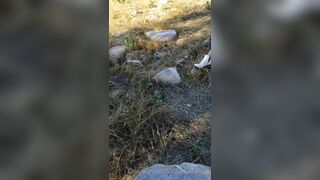 BarbieDDoll (AsianBarbieDDoll) OnlyFans Leaks Asian Chinese Girl Porn Video 132