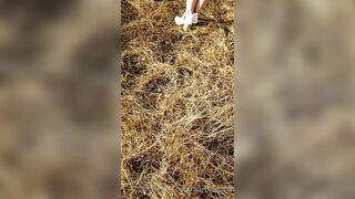 BarbieDDoll (AsianBarbieDDoll) OnlyFans Leaks Asian Chinese Girl Porn Video 85