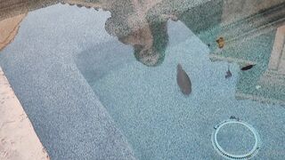 BarbieDDoll (AsianBarbieDDoll) OnlyFans Leaks Asian Chinese Girl Porn Video 31