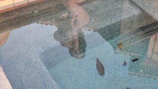 BarbieDDoll (AsianBarbieDDoll) OnlyFans Leaks Asian Chinese Girl Porn Video 31