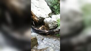 BarbieDDoll (AsianBarbieDDoll) OnlyFans Leaks Asian Chinese Girl Porn Video 122