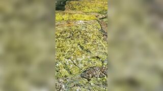 BarbieDDoll (AsianBarbieDDoll) OnlyFans Leaks Asian Chinese Girl Porn Video 113