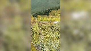 BarbieDDoll (AsianBarbieDDoll) OnlyFans Leaks Asian Chinese Girl Porn Video 113