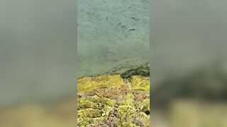 BarbieDDoll (AsianBarbieDDoll) OnlyFans Leaks Asian Chinese Girl Porn Video 113