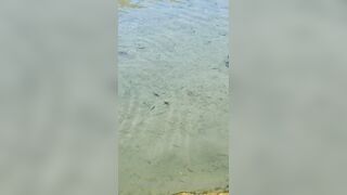 BarbieDDoll (AsianBarbieDDoll) OnlyFans Leaks Asian Chinese Girl Porn Video 113