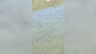 BarbieDDoll (AsianBarbieDDoll) OnlyFans Leaks Asian Chinese Girl Porn Video 113