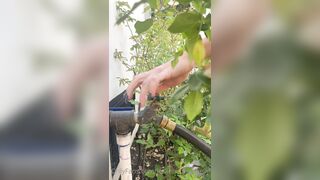 Leslie Golden (lesliehannahbelle) OnlyFans Leaks Instagram Star is a Former Cheerleader 58