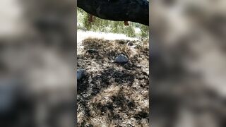 BarbieDDoll (AsianBarbieDDoll) OnlyFans Leaks Asian Chinese Girl Porn Video 94