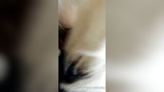 IndiStrawBaby OnlyFans Leaks Mid-sized Asian Chinese Girl 7