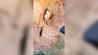 BarbieDDoll (AsianBarbieDDoll) OnlyFans Leaks Asian Chinese Girl Porn Video 135