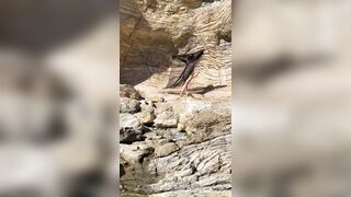 Theartache (Amanda Achen aka Museofyourdream) OnlyFans Leaks Porn Video 23