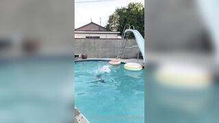 Theartache (Amanda Achen aka Museofyourdream) OnlyFans Leaks Porn Video 26