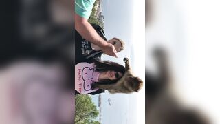 Arianestamour (Ariane Saint-Amour) OnlyFans Leaks Montreal fetish model and the ultimate geek girl 148