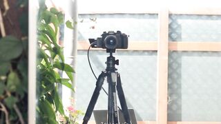 Kateelife (Katee Owen) OnlyFans Leaks RealKateeOwen Big Boobs Girl Porn Video 298