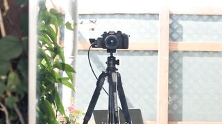 Kateelife (Katee Owen) OnlyFans Leaks RealKateeOwen Big Boobs Girl Porn Video 298