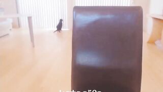 Kateelife (Katee Owen) OnlyFans Leaks RealKateeOwen Big Boobs Girl Porn Video 25