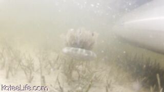 Kateelife (Katee Owen) OnlyFans Leaks RealKateeOwen Big Boobs Girl Porn Video 12