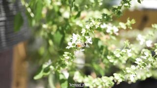 Kateelife (Katee Owen) OnlyFans Leaks RealKateeOwen Big Boobs Girl Porn Video 99