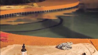 Kateelife (Katee Owen) OnlyFans Leaks RealKateeOwen Big Tits Babe Porn Video 16