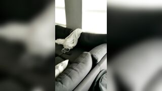 Cjmiles (CJ Miles) OnlyFans Leaks misscjmiles Asian Hot Girls Porn Video 34