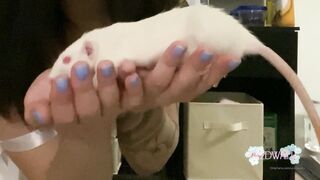 Ur2dwaifu (Ellie) OnlyFans Leaks Ur2dfruityxo Asian Chinese Doll 67