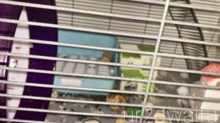 Ur2dwaifu (Ellie) OnlyFans Leaks Ur2dfruityxo Asian Chinese Doll 47