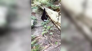 Theivoryfox (Ivory Fox) OnlyFans Leaks huge nerd, psych major, sweet tooth Porn Video 112