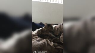 Sofie Addotta Asian Chinese Amateur Porn Video 77