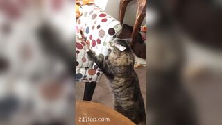 Sofie Addotta Asian Chinese Amateur Porn Video 40