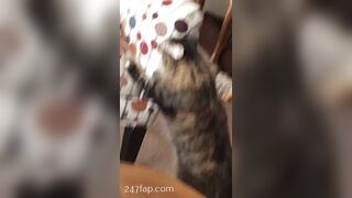 Sofie Addotta Asian Chinese Amateur Porn Video 40